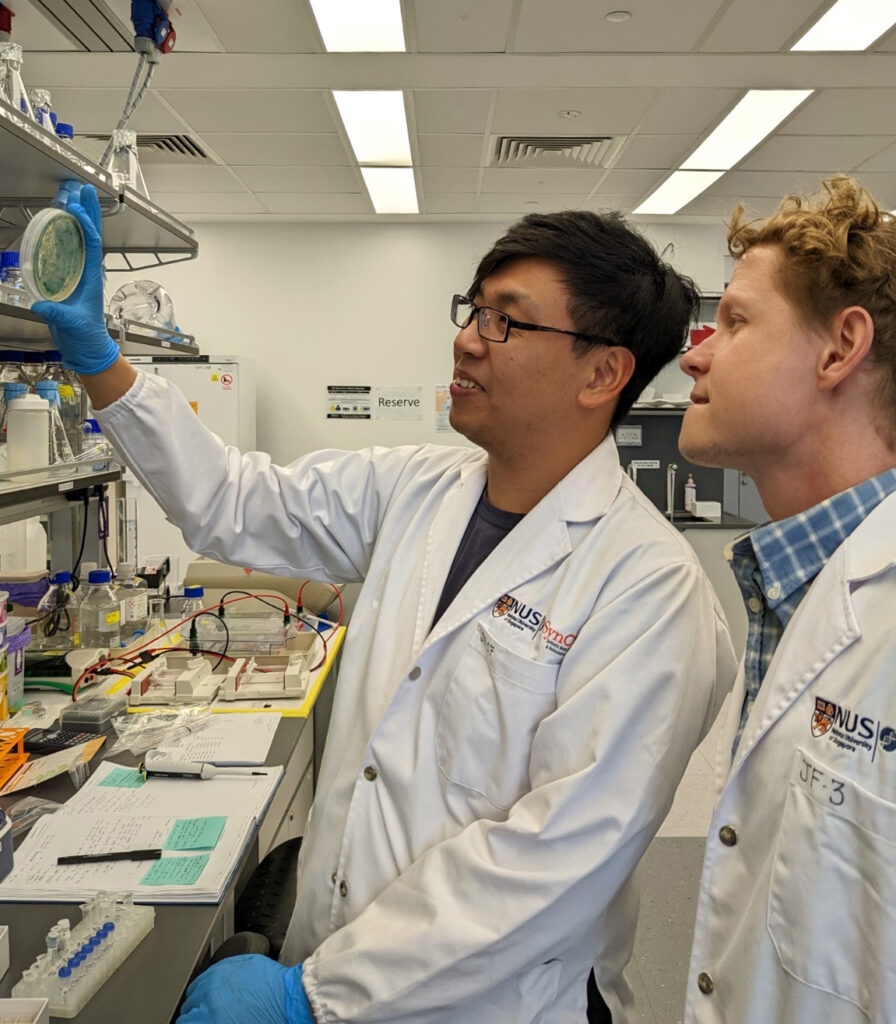 Fredens and PhD rotatiion student Shujian Ong